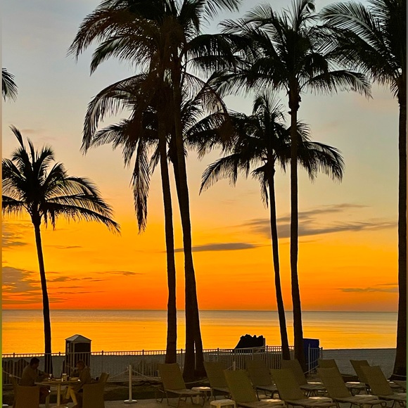 Meet your Posher, Mary-Kate - Picture 2 of 2